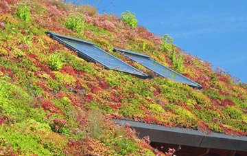 Deopham Stalland living roof systems