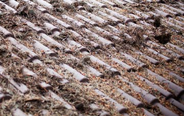 Deopham Stalland roof cleaning companies