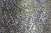 Deopham Stalland fibreglass roof work